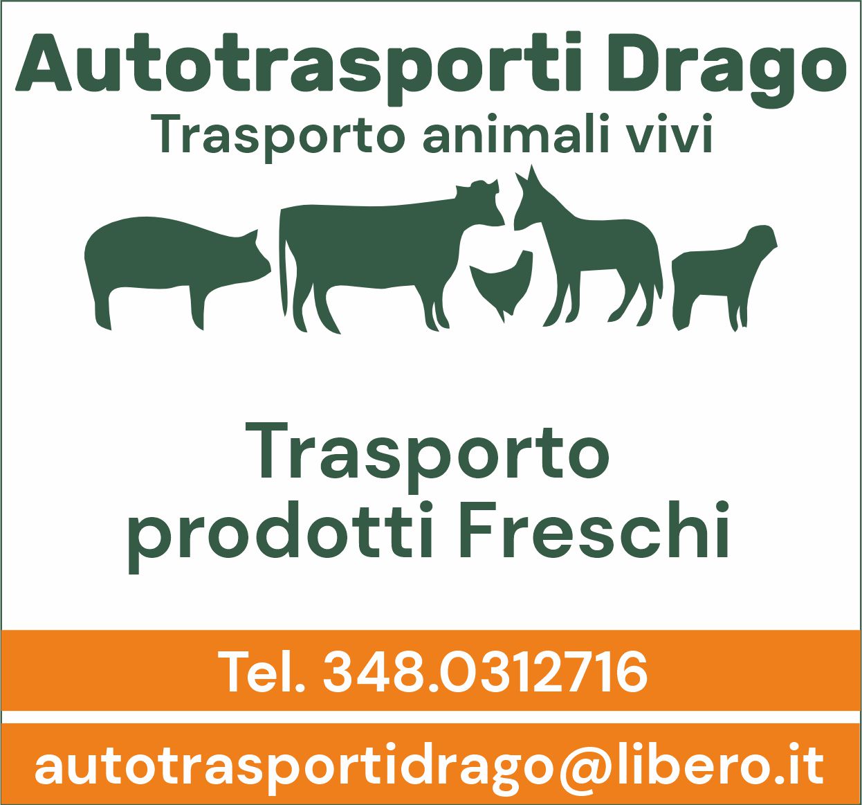 autotrasportiDrago.jpg